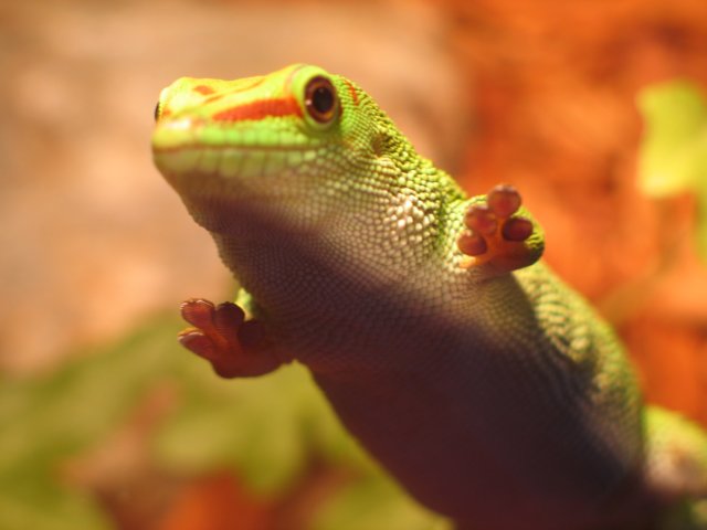 Photograph